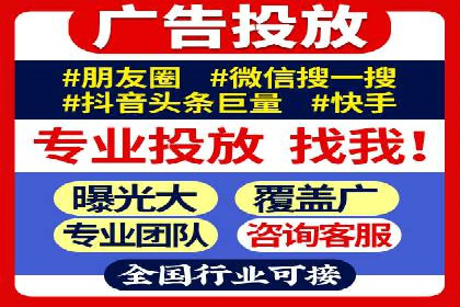 竞价广告的投放时机与频次选择——基于案例的探讨